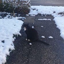 Er der nogle fra Nordfyn?