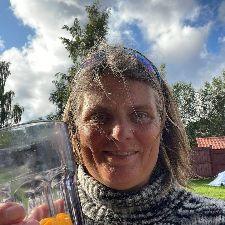 Vinterbadning i Skovshoved 