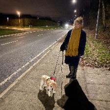 Gåture med hund 