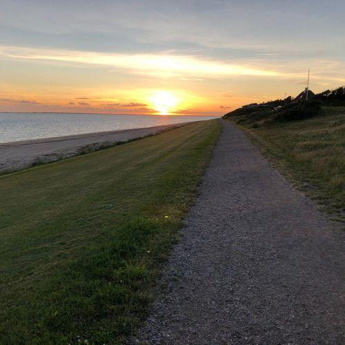 Søger vandreveninder 