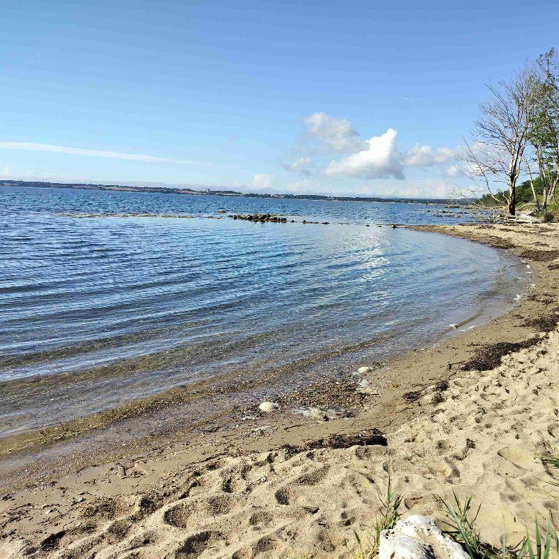 Fællesskab for bobler i Horsens 