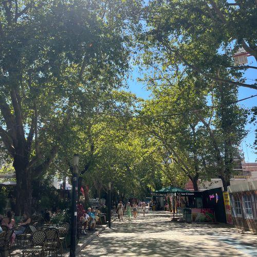 Romanen om pigen der søgte venner