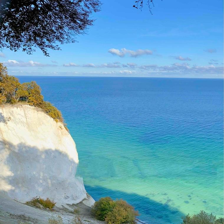 Træning og venskaber.