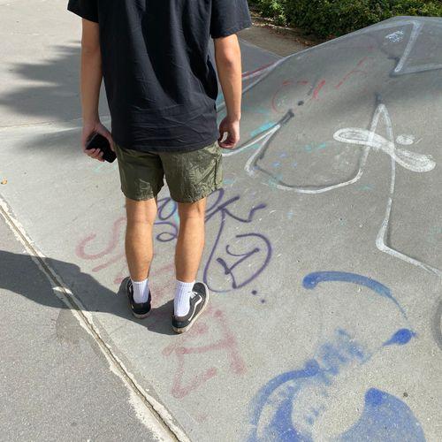 Søgervenner til at ståpå skateboard