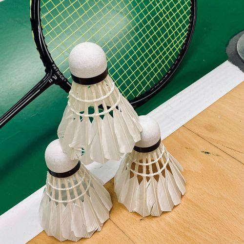 Old boys motions badminton 