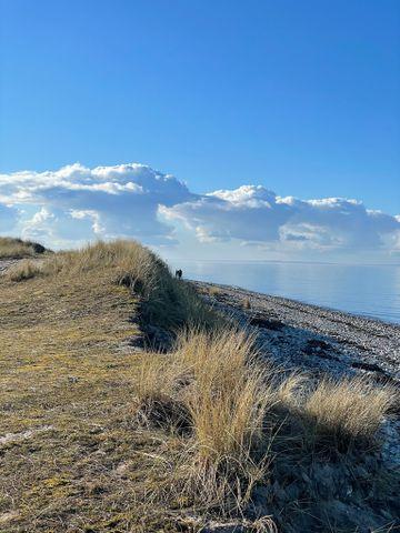 Flot udsigt over vand og klitter