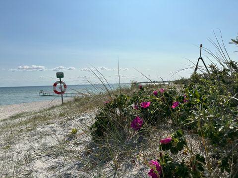 Brøndby Strand