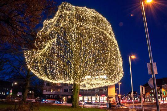 Julelys på stort træ