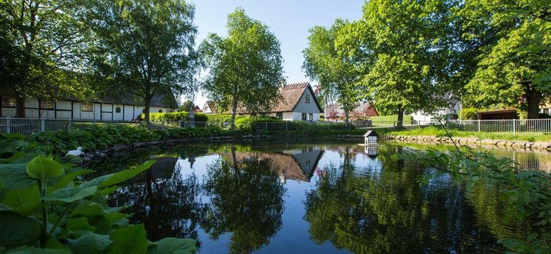 Smukt naturbillede af himmel, træer og et lille hus, som spejler sig ned i den blanke sø