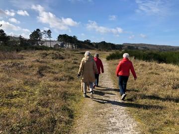 Tre ældre kvinder er  ude at gå tur i flot natur