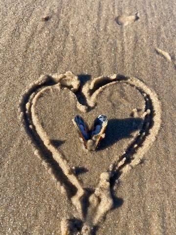 Et venindehjerte er tegnet i sandet med en hjerteformet musling i midten